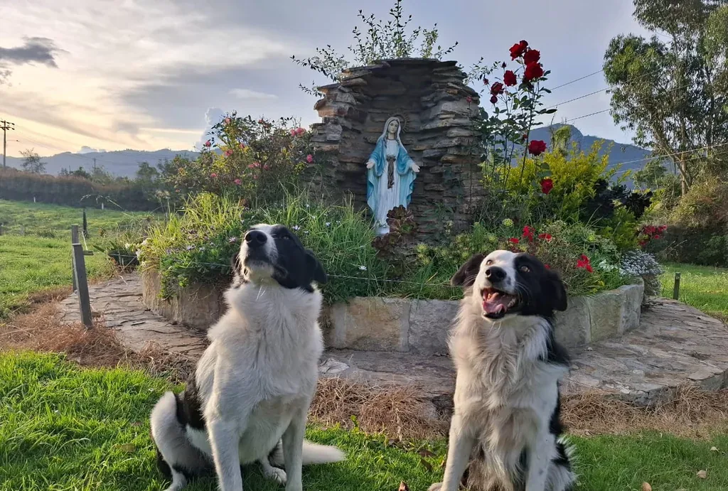 Dos huelleros posando en el jardín al atardecer