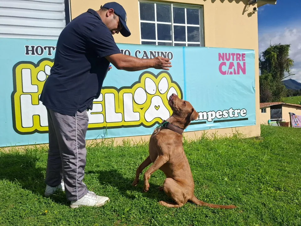 Clase de educación canina frente al mural de La Huella