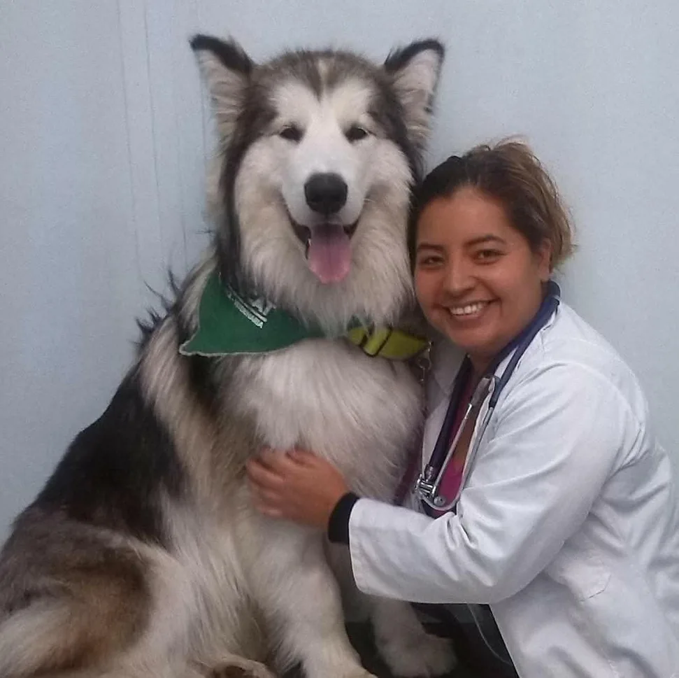 Veterinaria abrazando a un malamute feliz